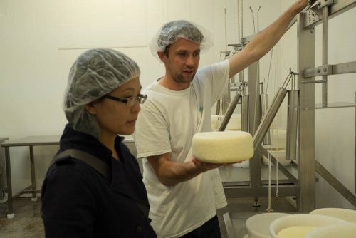 Cheese maker Shep shows us the cheesemaking process